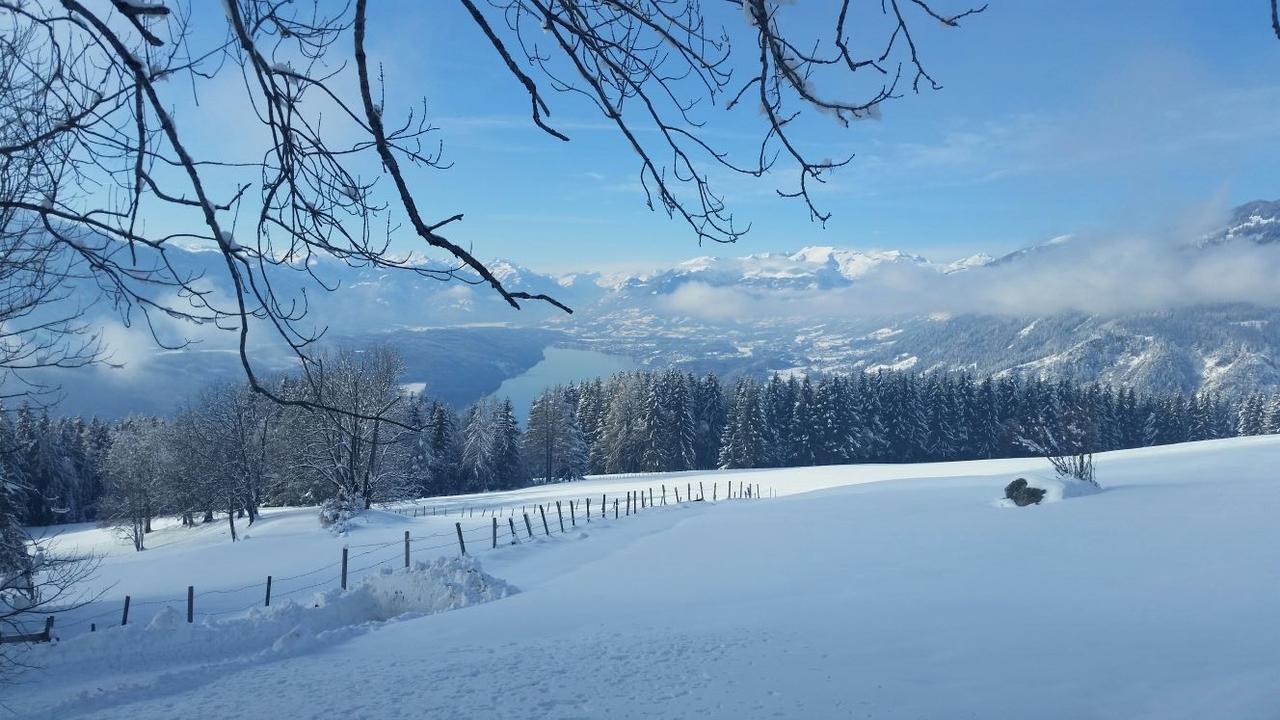 Pension Barzaunerhof Fresach Экстерьер фото